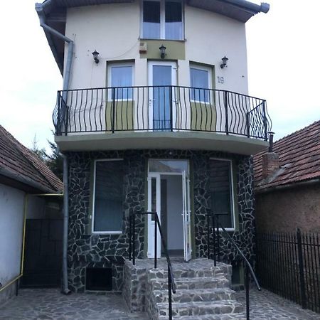 Pensiunea Casa Maria クルージュ＝ナポカ エクステリア 写真